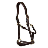 Dy'on Leather Headcollar DY09A
